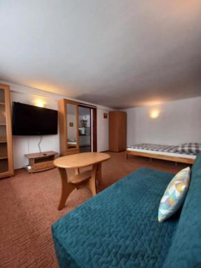 U Tylki Studio z widokiem na góry Zakopane